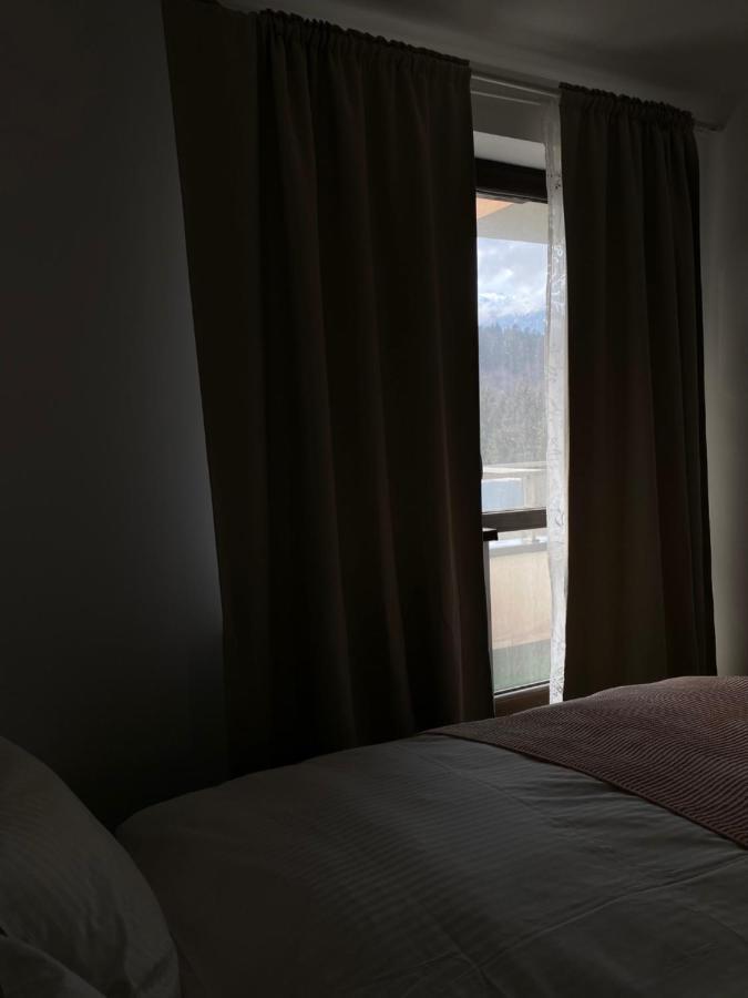 Ioana'S Apartament Appartement Sinaia Buitenkant foto