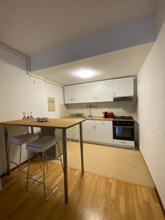 Ioana'S Apartament Appartement Sinaia Buitenkant foto